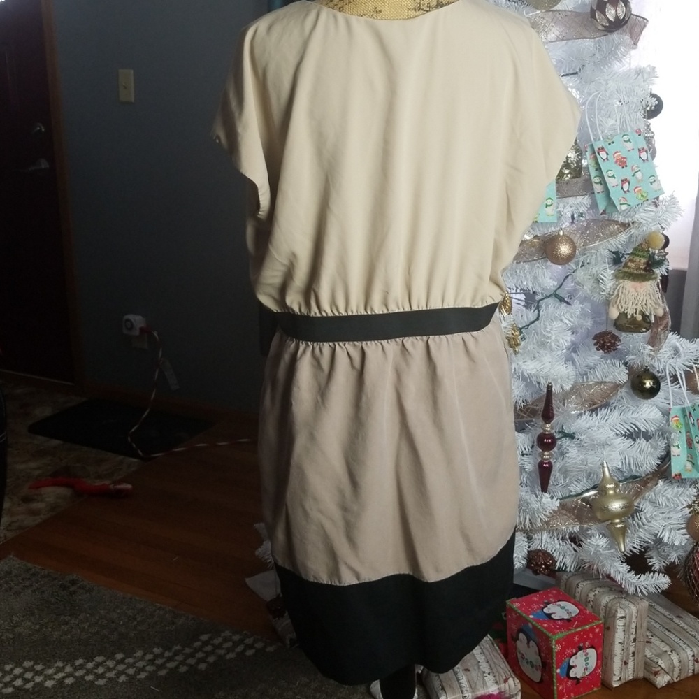 Dress - Picture 4 of 5